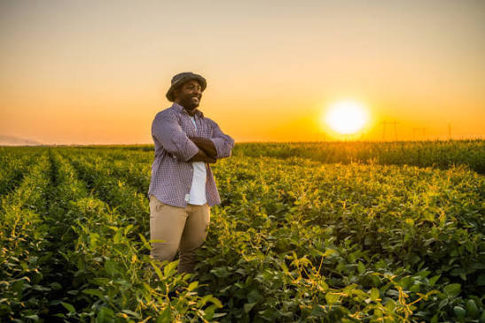 Farmer working in an agricultural field